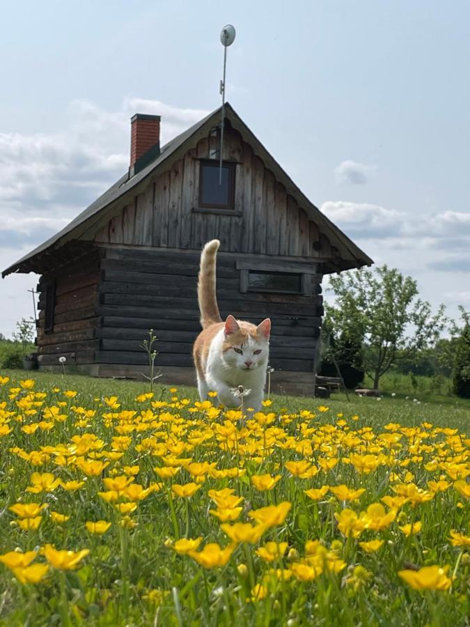Gintaro Pirtele Lazdijai Exterior foto